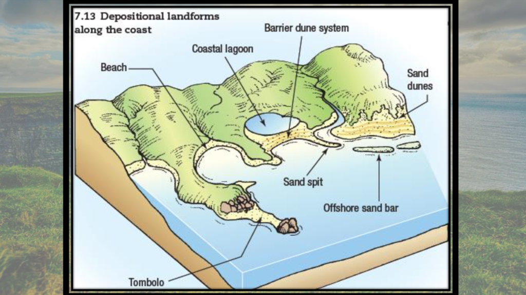 Marine Processes geography